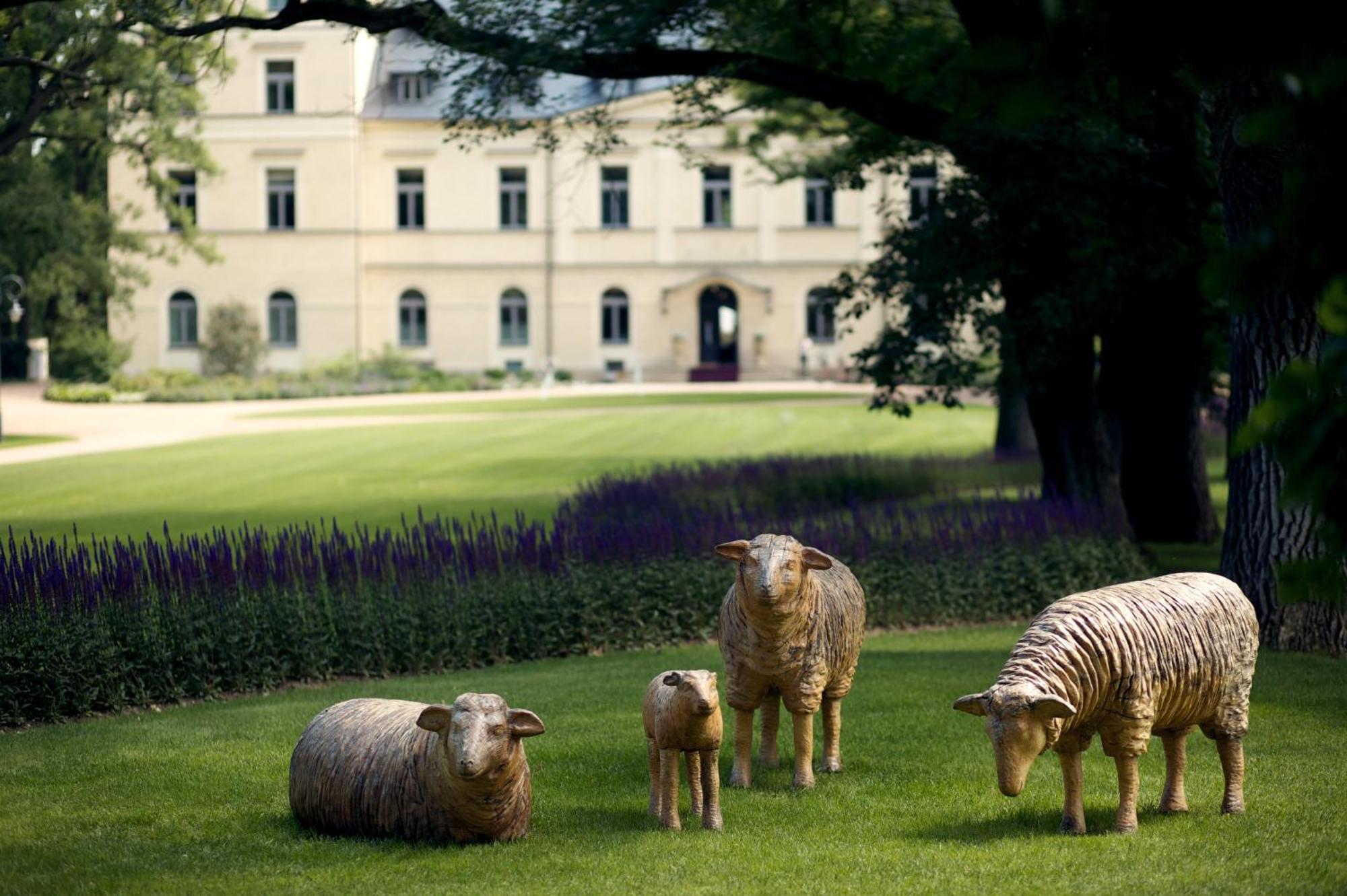Chateau Mcely Exterior foto